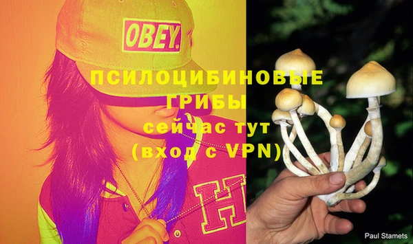 молекула духа Покровск