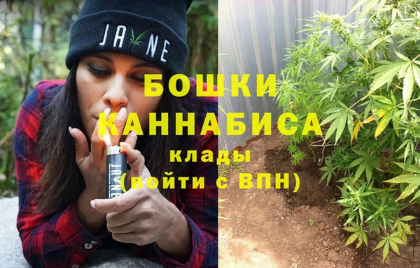 амф Беломорск