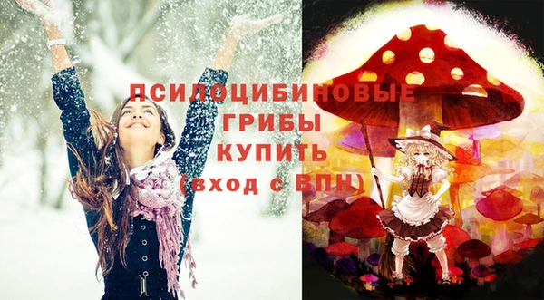 амф Беломорск