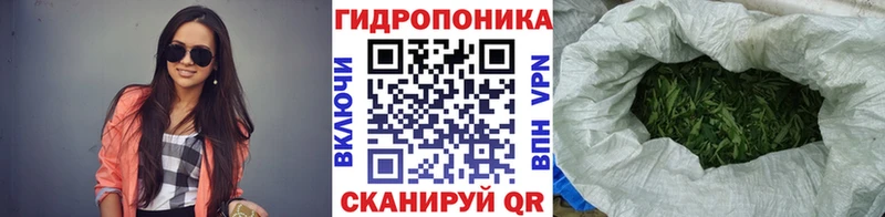 Бошки марихуана планчик  где можно купить   Болотное 